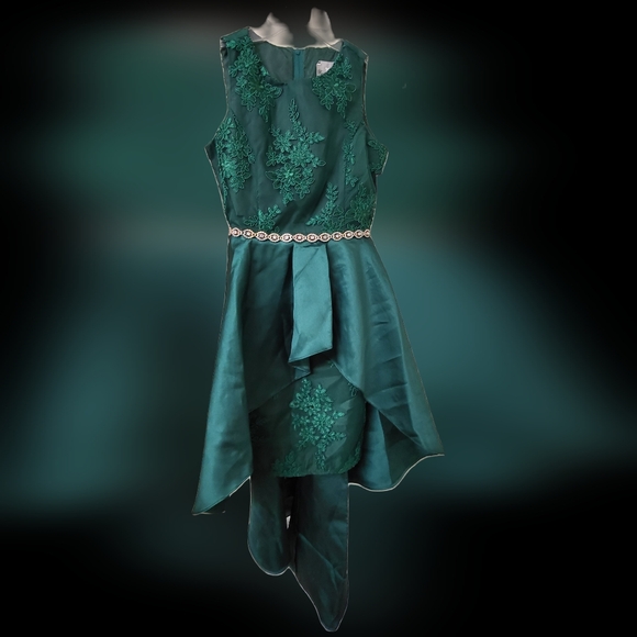 Girl's green lace & satin prom formal dress by Rare Editions from Macy's Size 16 - Picture 7 of 16